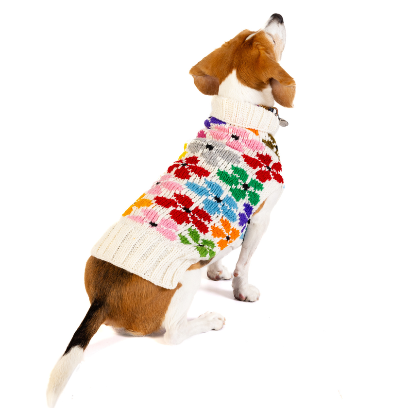 Bloom Dog & Cat Pet Sweater