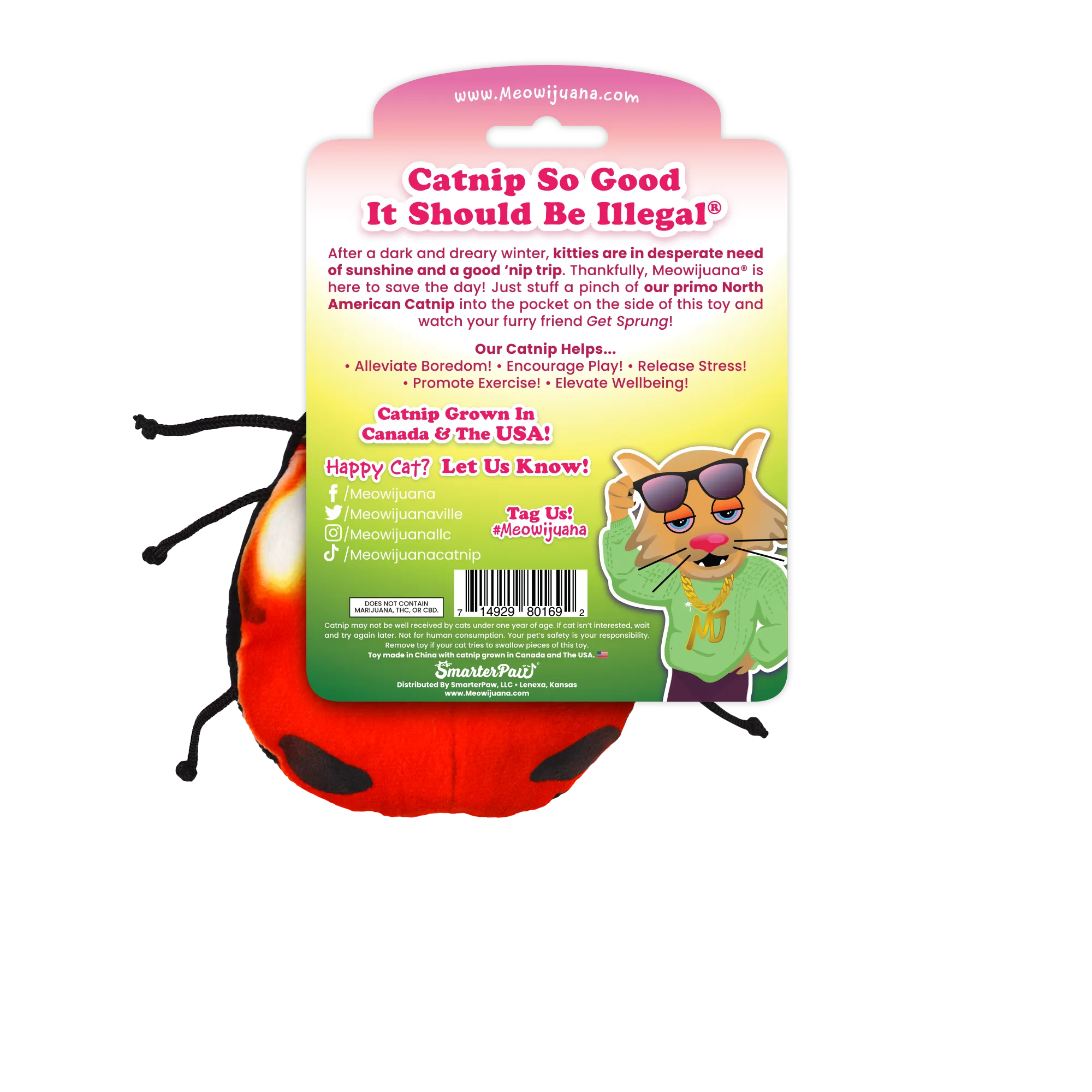 Meowijuana® Get Sprung Lady Bug Refillable Cat Toy