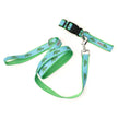 Alligators Dog Collar