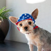 Patriotic American USA Star Pet Hat