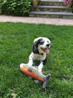 Dog Toy Fish Squeaker Trout Plush Toy