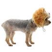 Lion Dog or Cat Costume Hat