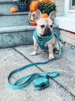 Dog Waste Bag Holder Napa With Clasp