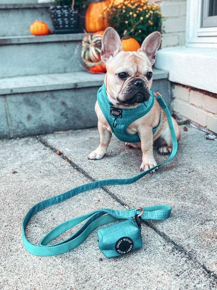 Dog Waste Bag Holder Napa With Clasp