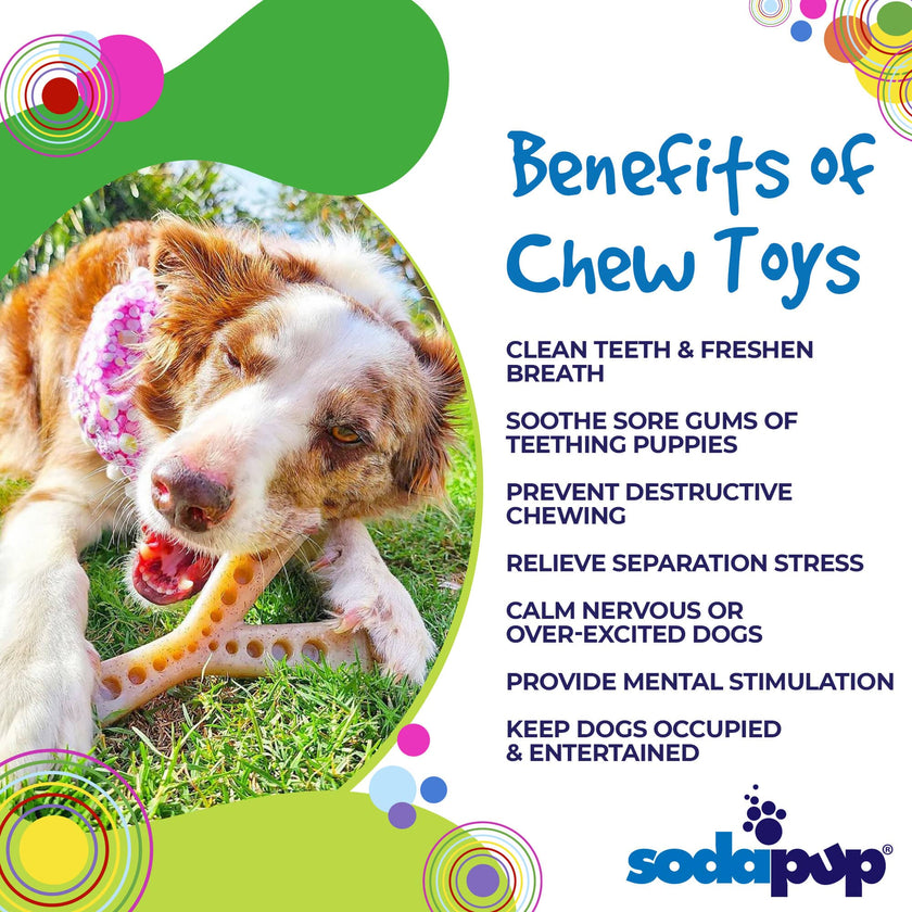 SP Wishbone Ultra Durable Nylon Dog Chew Toy for Aggressive Chewers