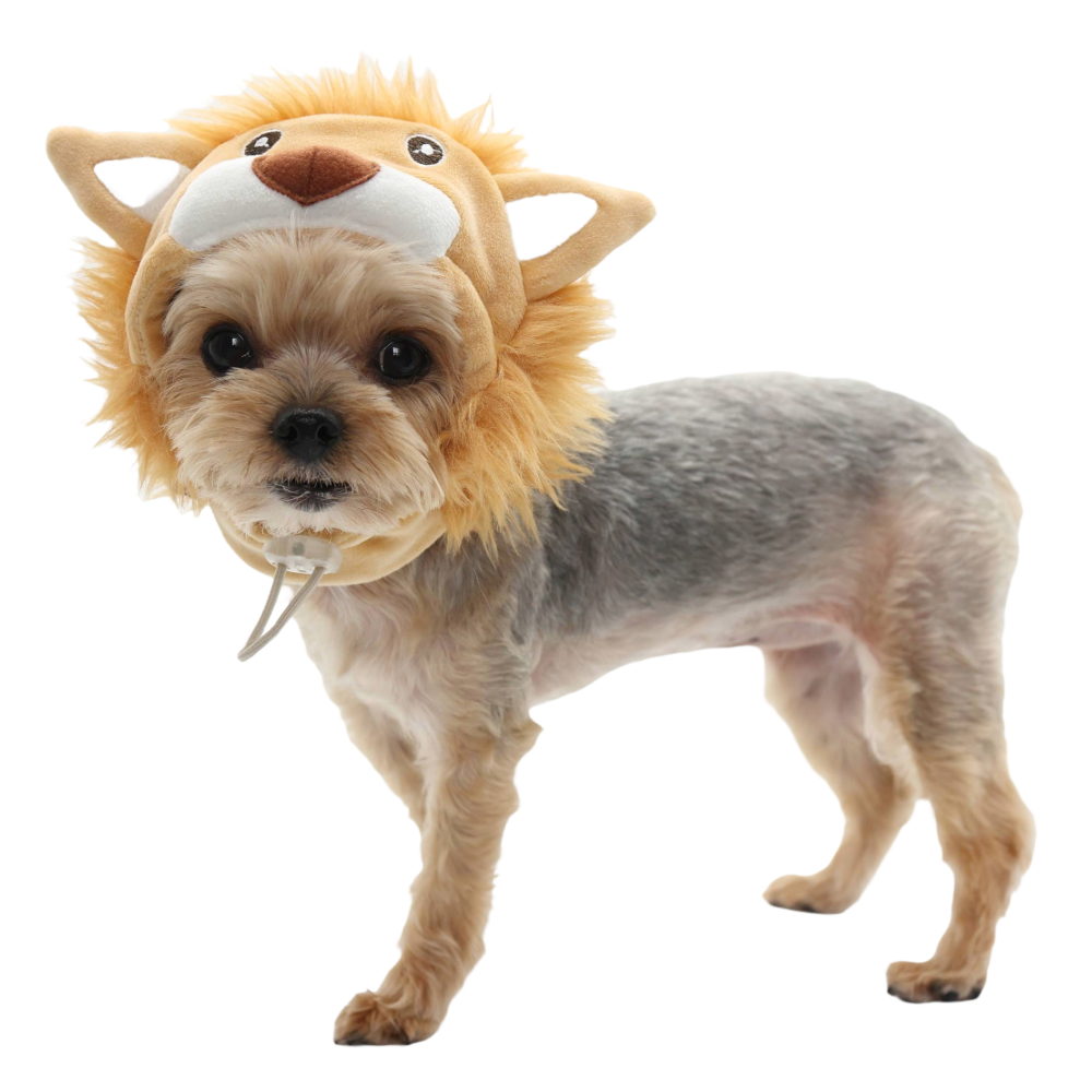 Lion Dog or Cat Costume Hat