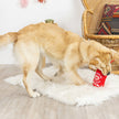 Dog Toy Hot Sauce Bottle Hearts On Fire Plush Rope Toy