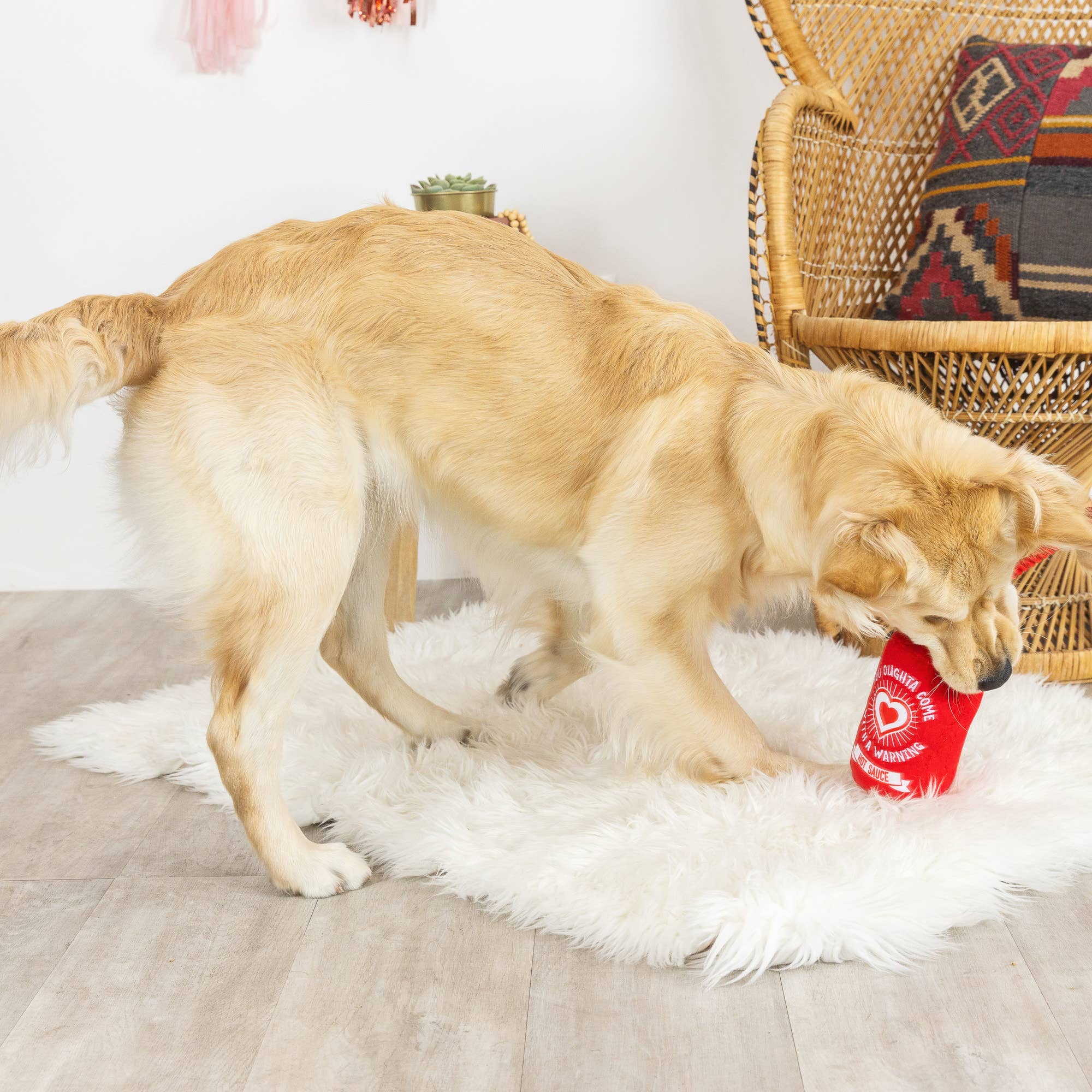 Dog Toy Hot Sauce Bottle Hearts On Fire Plush Rope Toy
