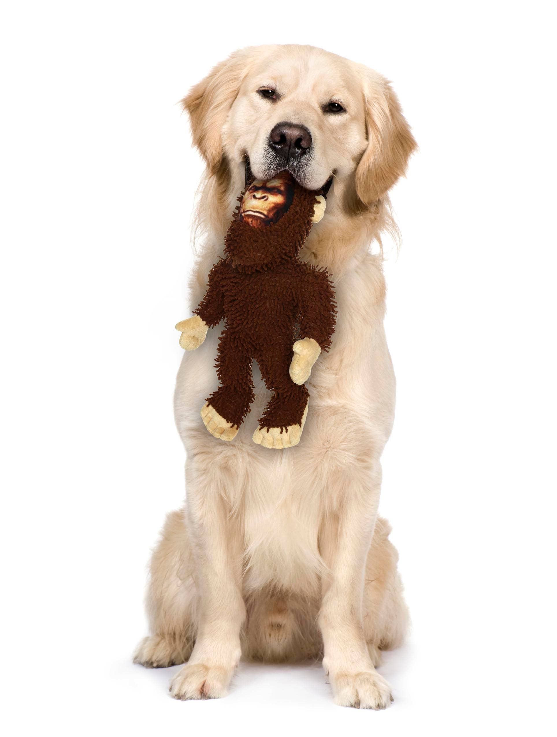 Mighty Micro Bigfoot, Durable, Squeaky Dog Toy
