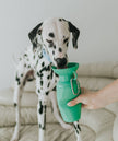 Dog Travel Water Bottle, 22oz, Classic