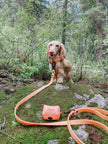 Dog Waste Bag Holder Orange With Clasp