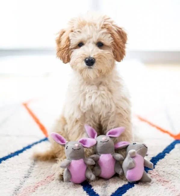 Dog Toy Bunny Miniz Single Plush Dog Toy
