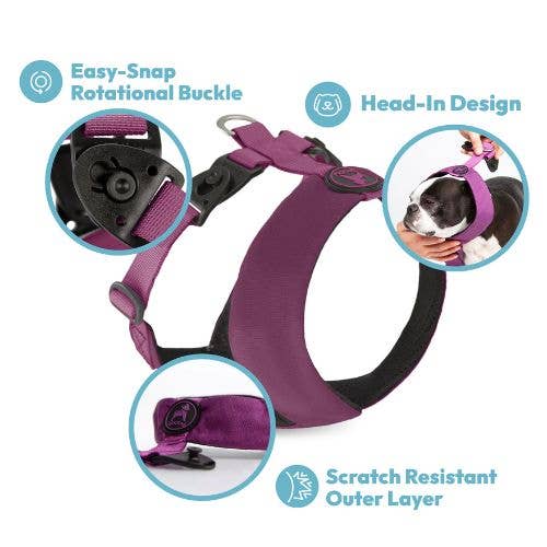 Comfort X Harness Dual Snap Dog Harness