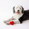 Valentine's Plush Red Heart Valentine's Day Dog Toy