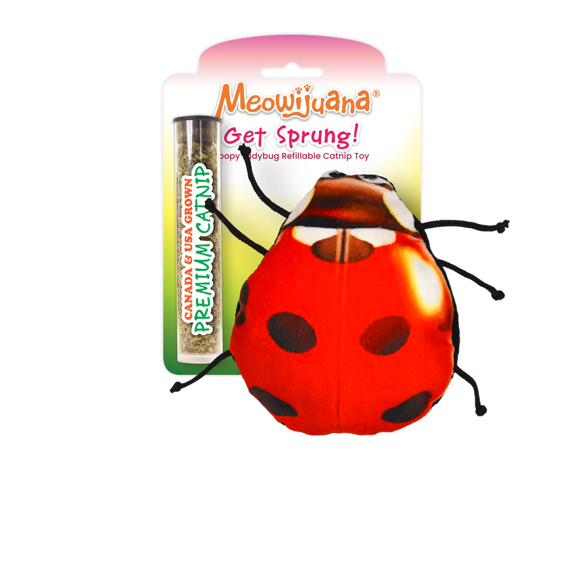 Meowijuana® Get Sprung Lady Bug Refillable Cat Toy