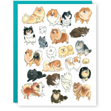 Pomeranian Greeting Card