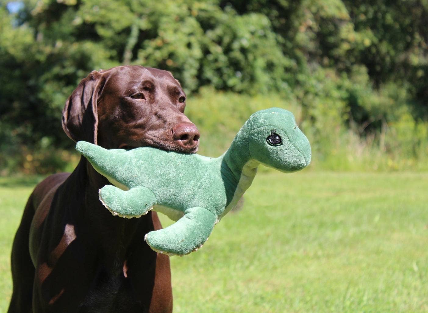 Plush Nessie with Squeaker Dog Toy - 13