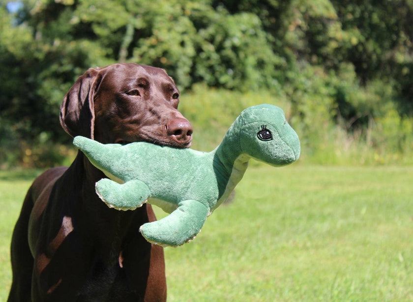Dog Toy Nessie Green Soft Plush with Squeaker Toy