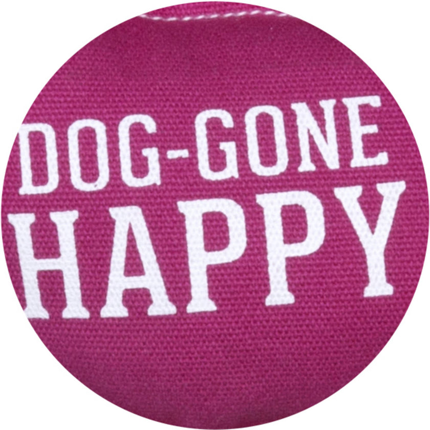 Dog-Gone Happy Canvas Dog Toy on Rope