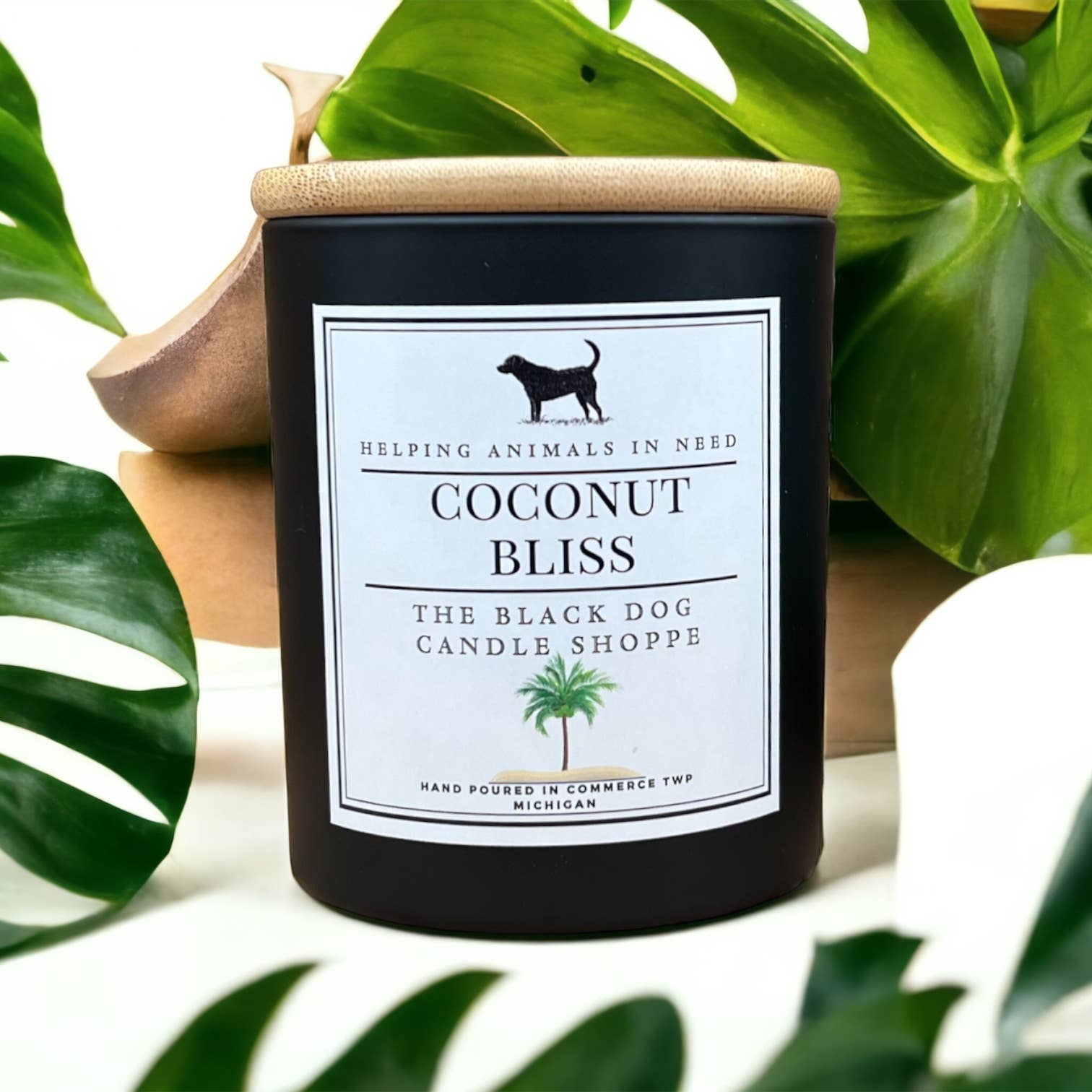Classic Candle - Coconut Bliss