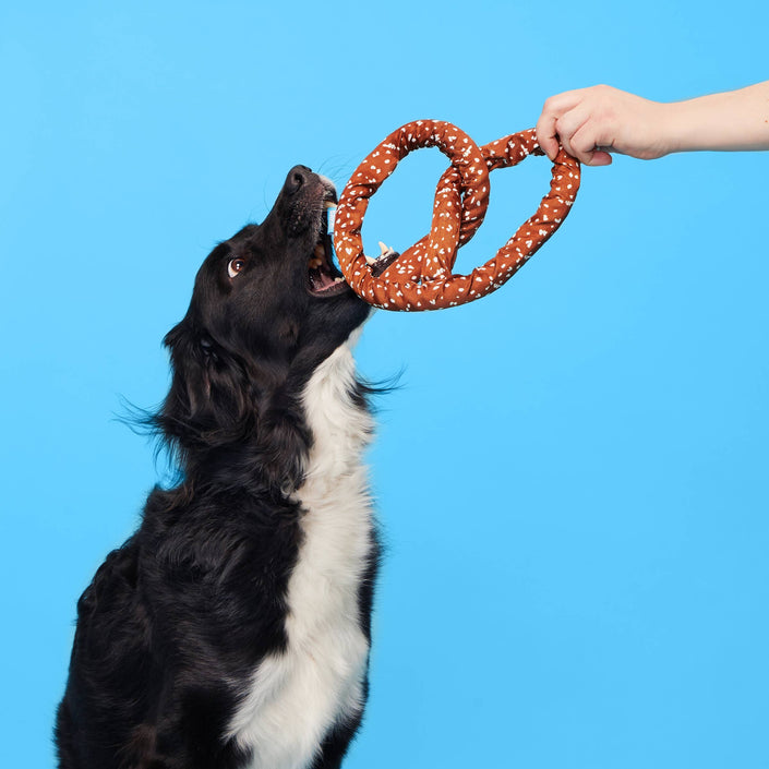 BARK Paula's Park Slope Pretzel Plush Dog Toy M
