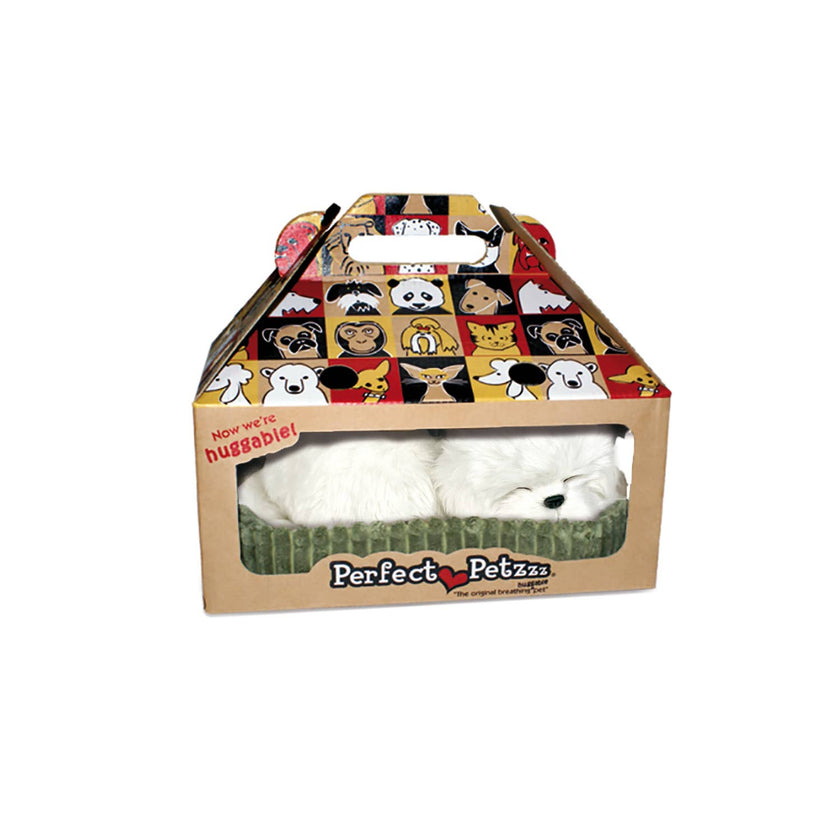 Maltese Perfect Petzzz