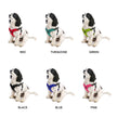 Escape Free Sport Dog Harness