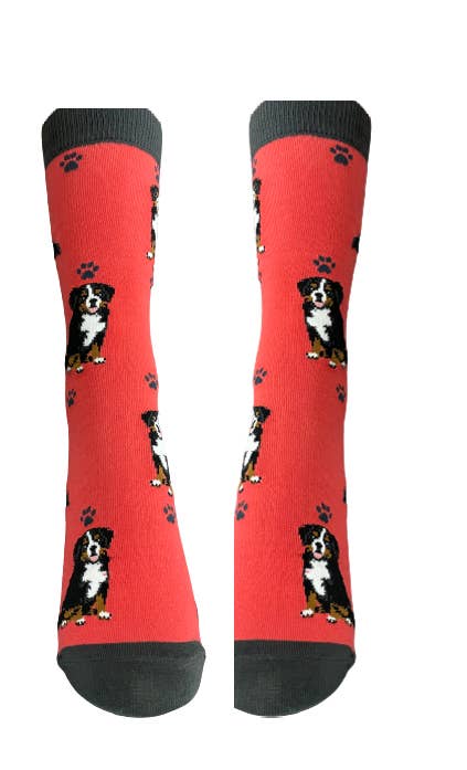 Bernese Mt. Dog- Dog Socks Unisex