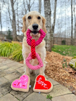 Valentine's Red Heart Love Sugar Cookie