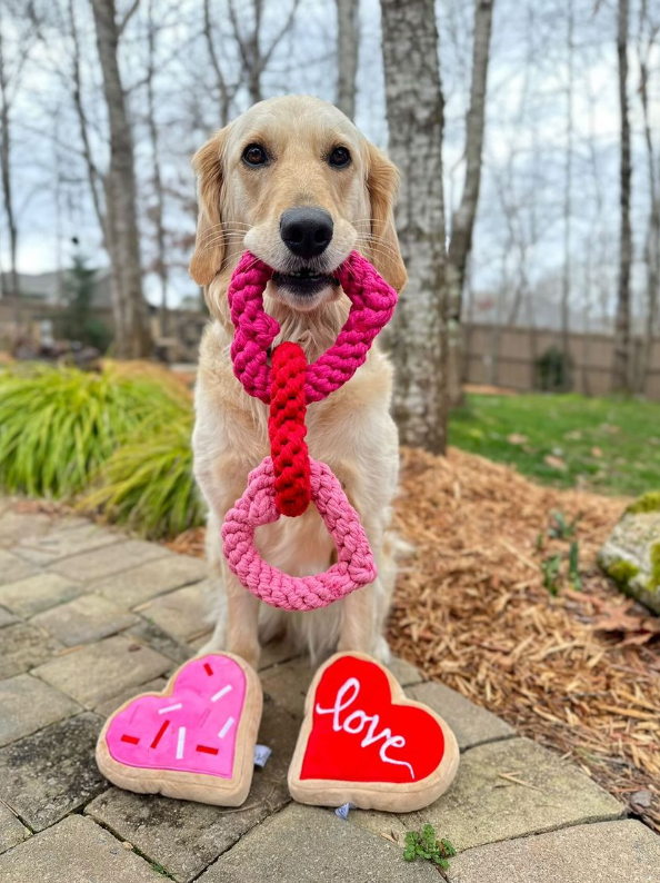 Valentine's Red Heart Love Sugar Cookie