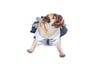 Dog or Cat Pet Dress - Preppy Girl