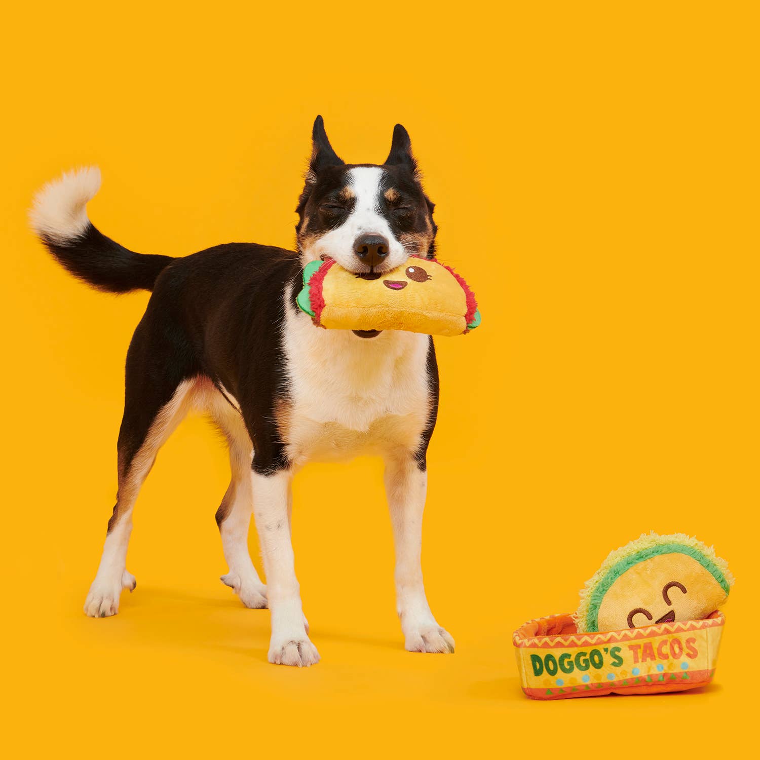 BARK Doggos Tacos Plush Dog Toy