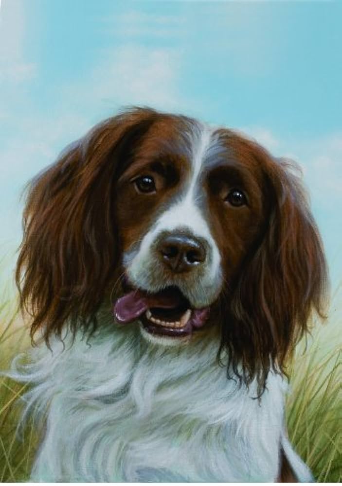 Springer Spaniel Large House Flag