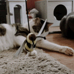Meowijuana® Get Buzzed Bee Refillable Wand Cat Toy