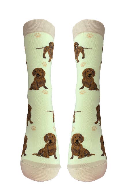 Red Dachshund Dog Socks - Unisex