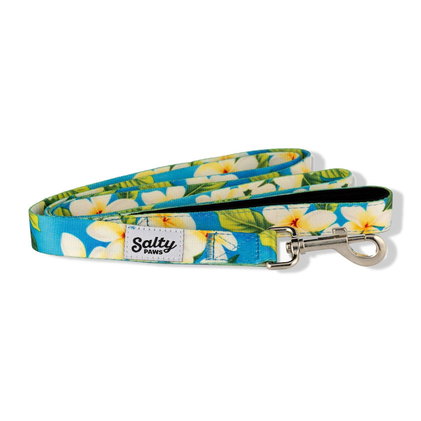 Hawaiian Print Dog Leash Tropical Blue Floral 6' Length Neoprene Lined Handle