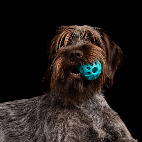 Totally Pooched Huff'n Puff Ball Rubber 2.5