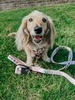 Dog Waste Bag Holder Weens Club With Clasp