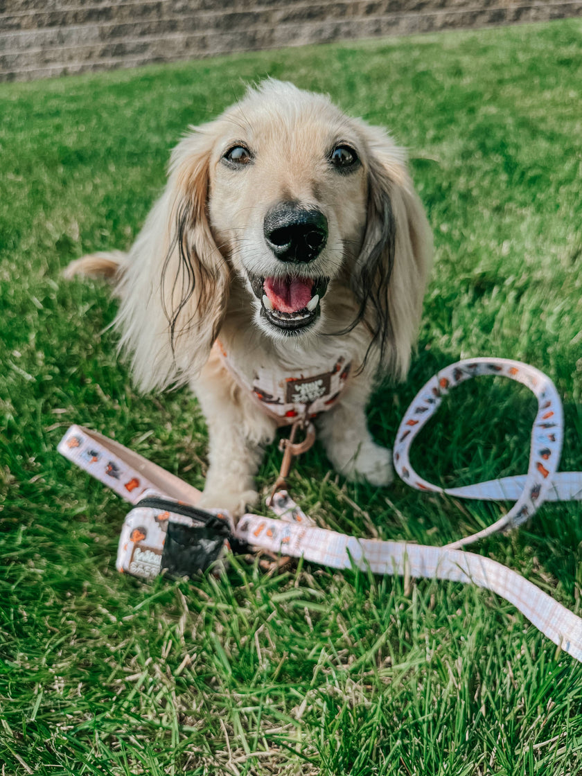 Dog Waste Bag Holder Weens Club With Clasp