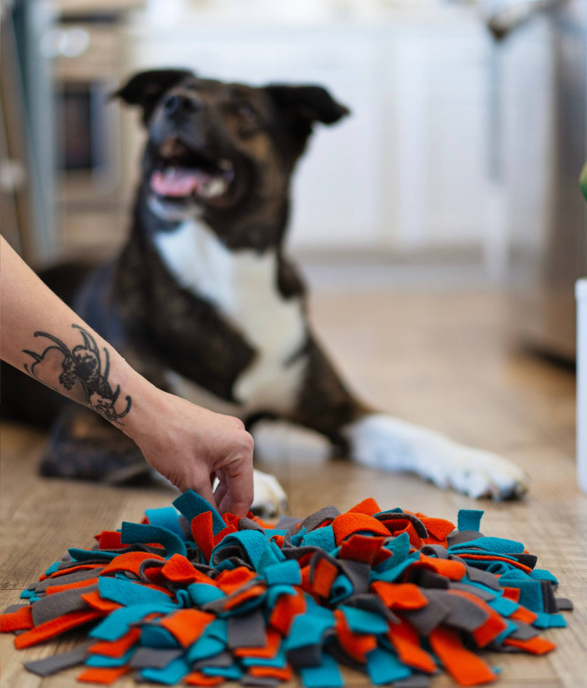 Messy Mutts Round Forage/Snuffle Mat 15