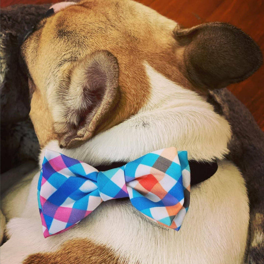H&K Bow Tie Check Blue/Green