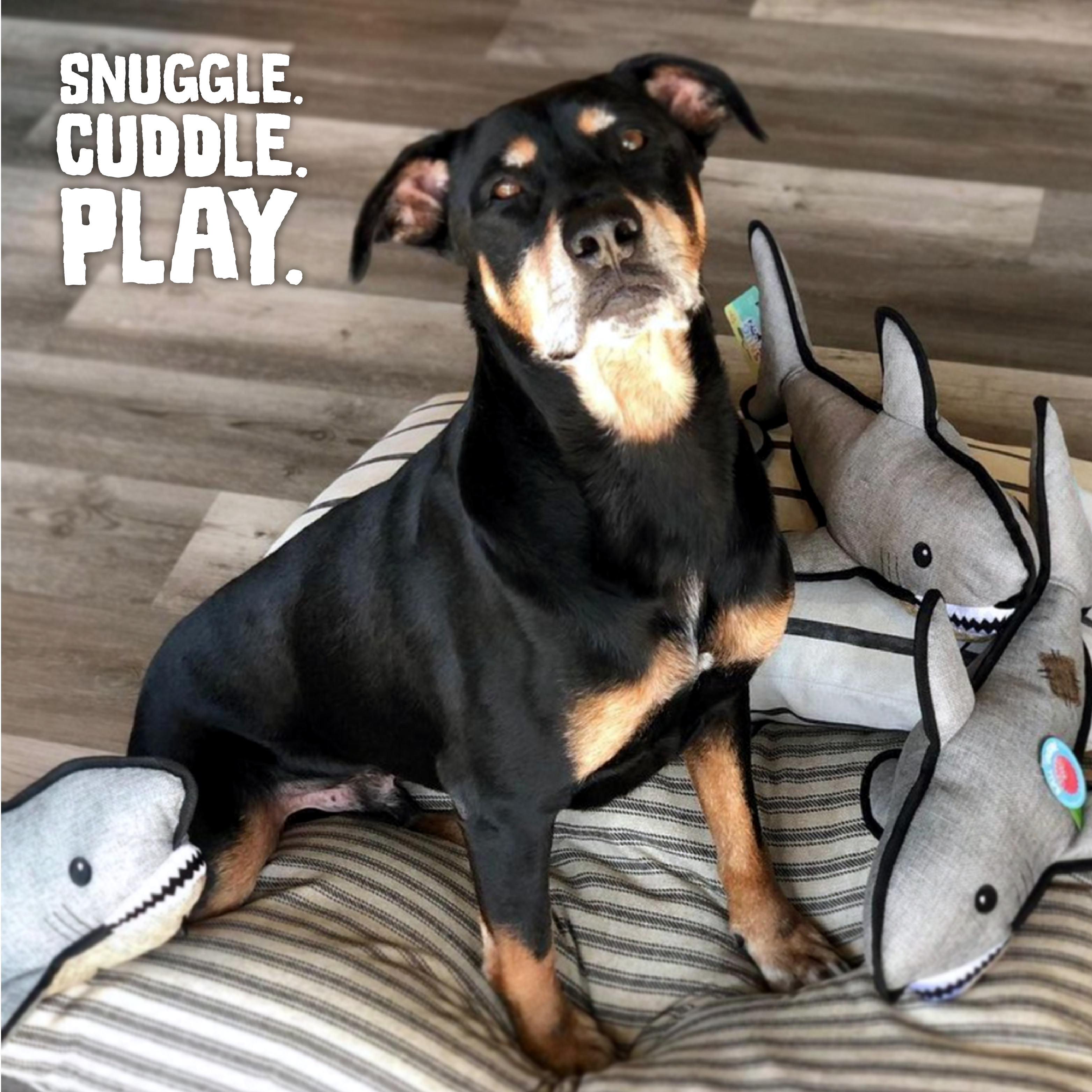 Dog Toy Shark SnugArooz Saul the Shark w/ Rubber Spikey Ball Dog Toy 19