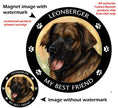 Leonberger My Best Friend Circular Magnet