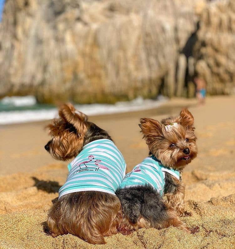 Flamingos Dog or Cat Pet Clothing