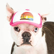 Trucker Hat for Dogs/Cats: Island Sunset Black/ XXS