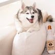 Toto's Pawdka Dog Toy