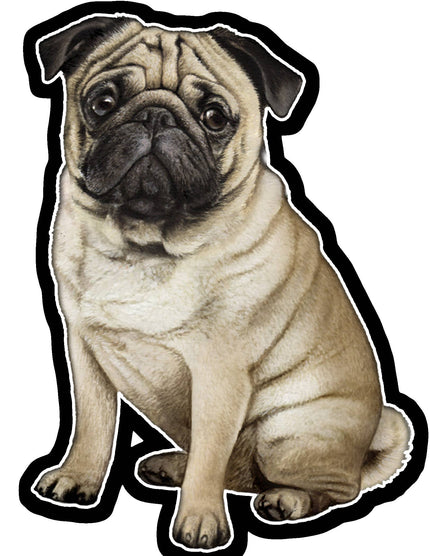 Pug  - Vinyl Sticker