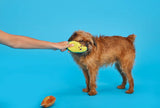 BARK Butters, Fry & Dill the Stick Clique Dog Toy