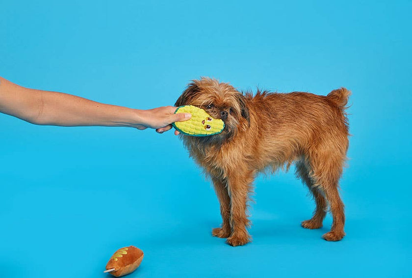 BARK Butters, Fry & Dill the Stick Clique Dog Toy