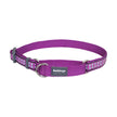 Martingale Dog Collar Reflective Bones Purple